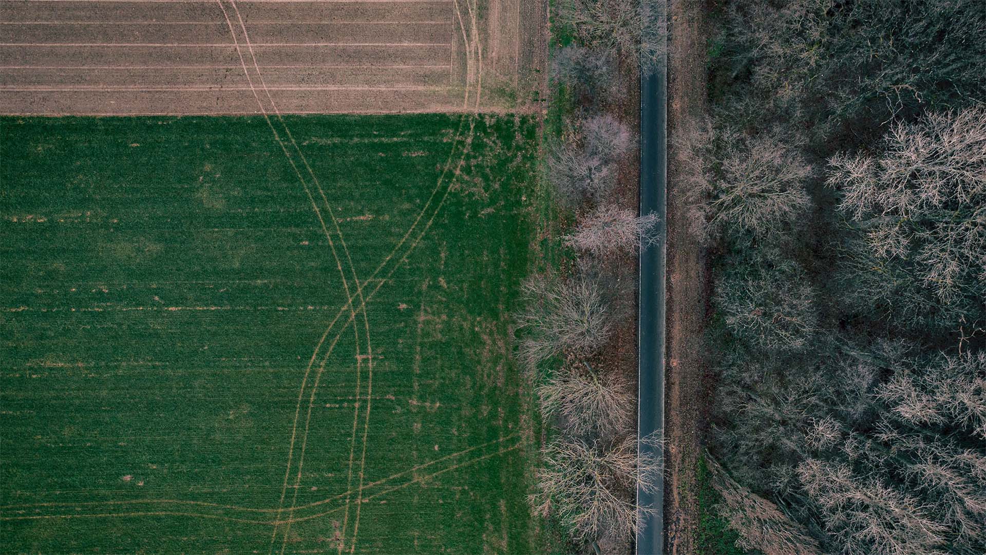 Landstraße, irgendwo — das Ziel ist offen